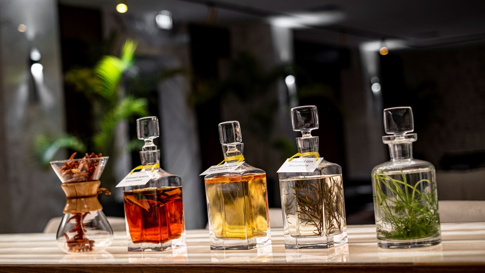 bars-cetrus-bar--lobby-bar