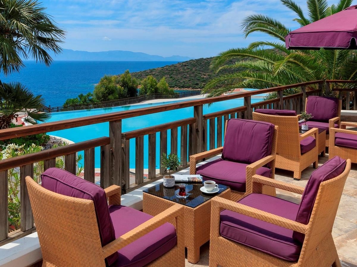 restaurants-olives-restaurant