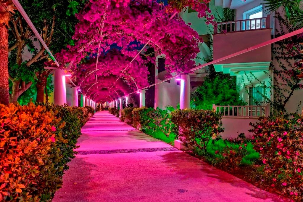 general-annex-building