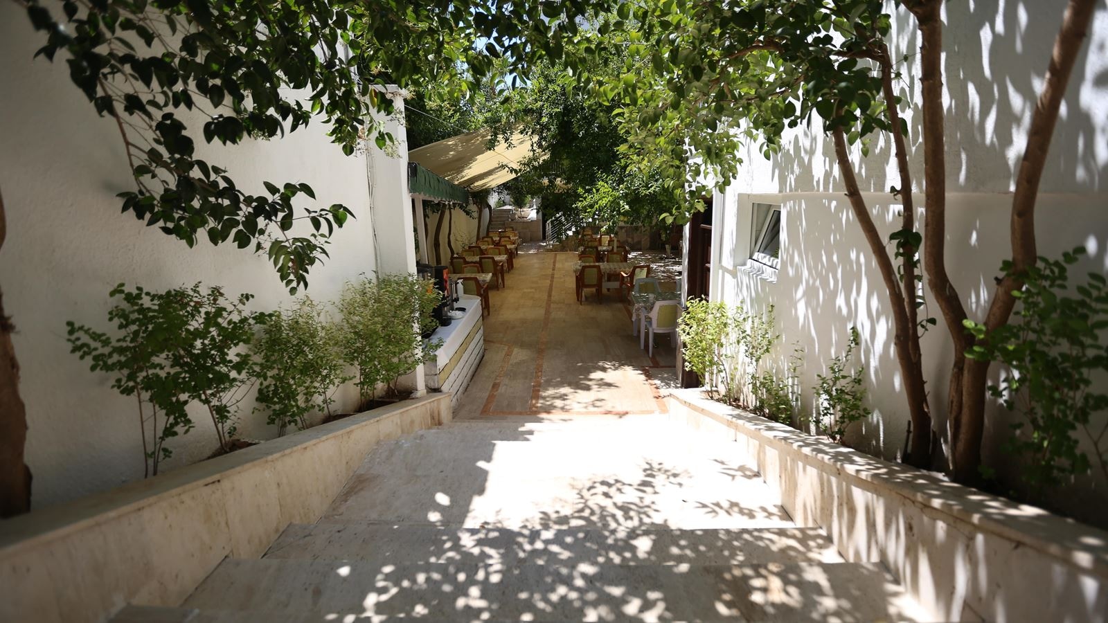 restaurants-winter-restaurant