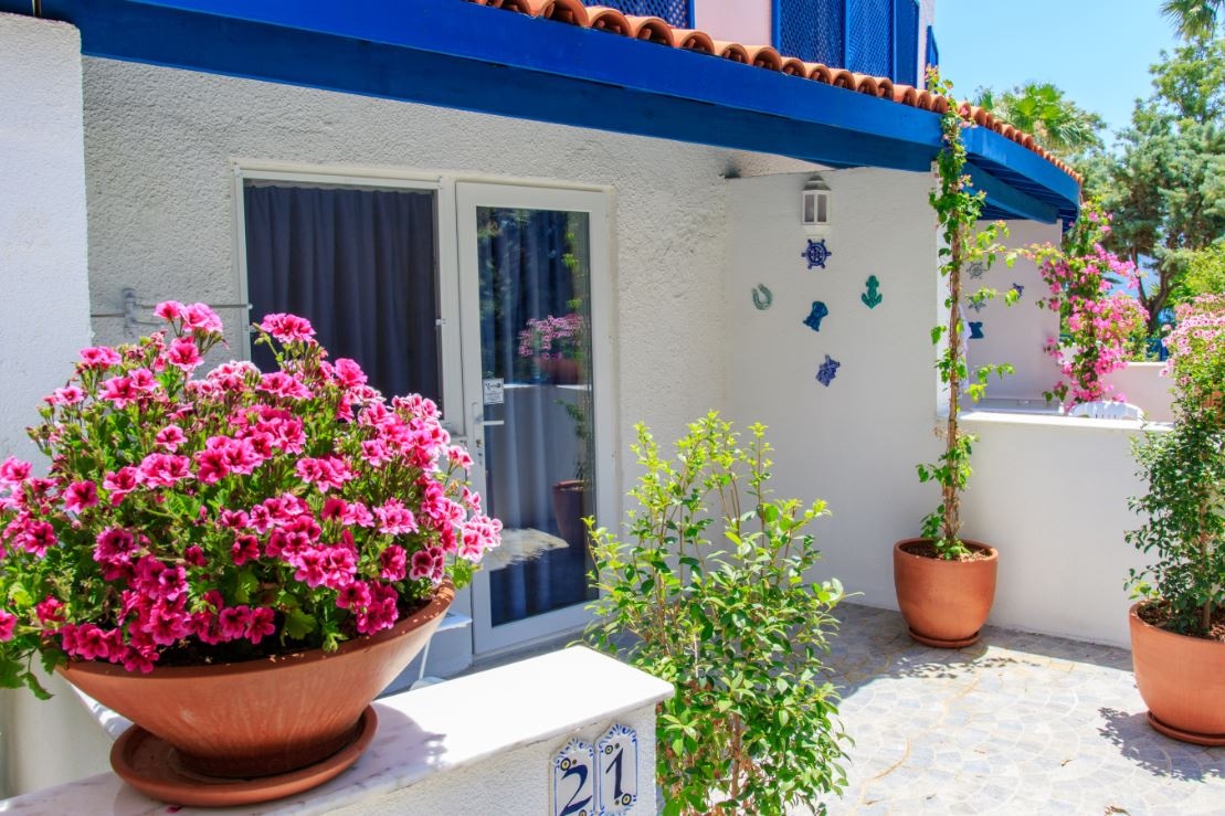 rooms-anex-family-room