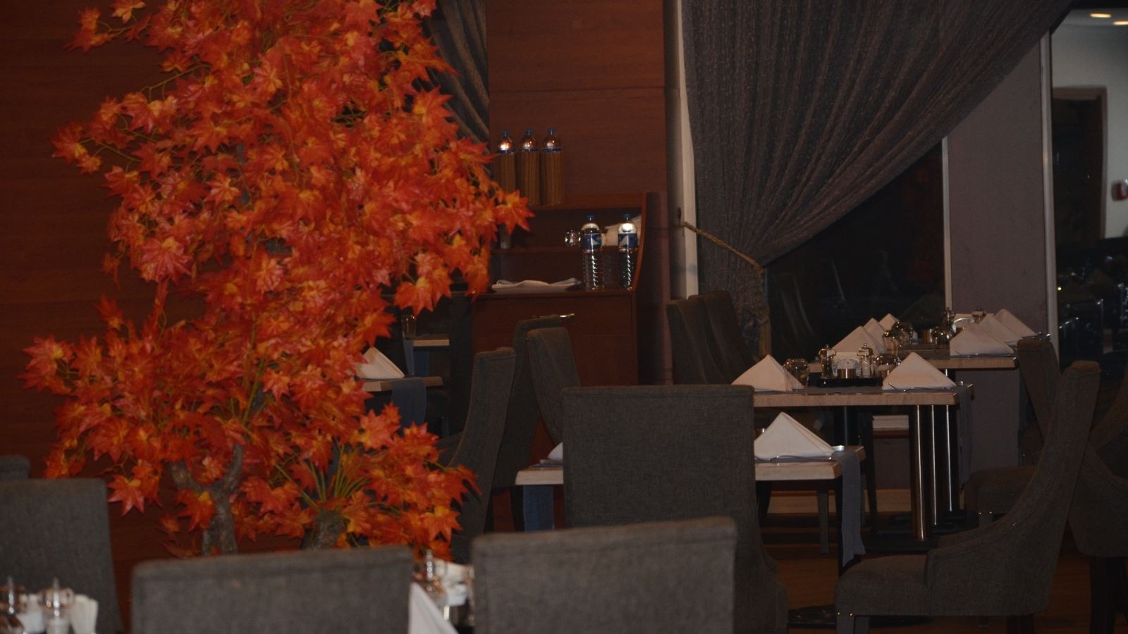 restaurants-restaurant