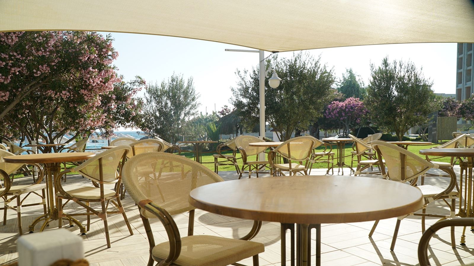 restaurants-birdy-snack-restaurant