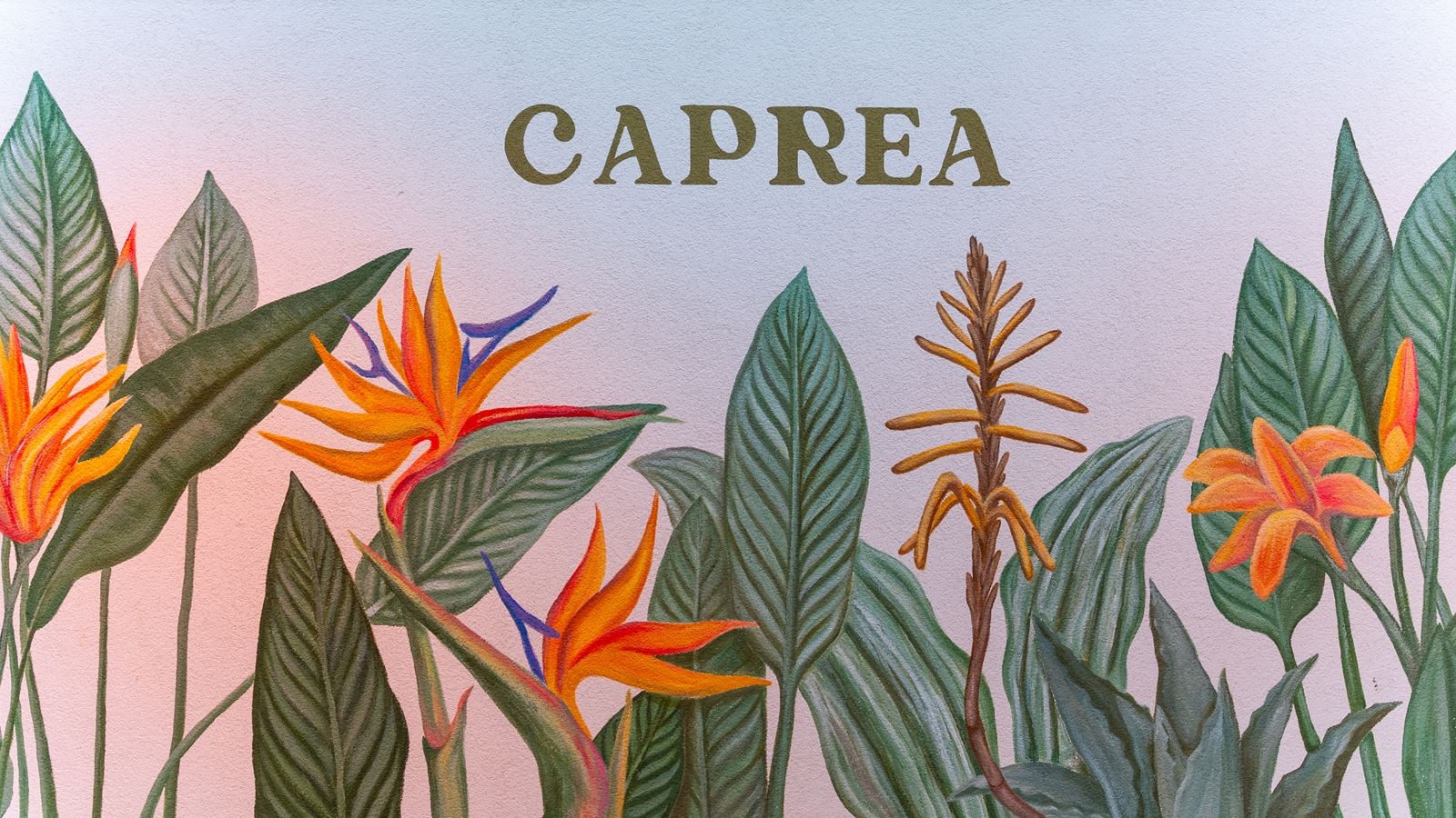 restaurants-caprea-a-la-carte-restaurant