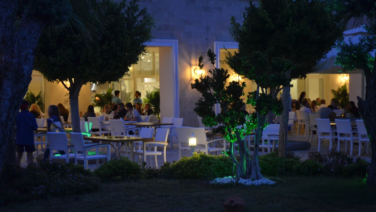 restaurants-restaurants