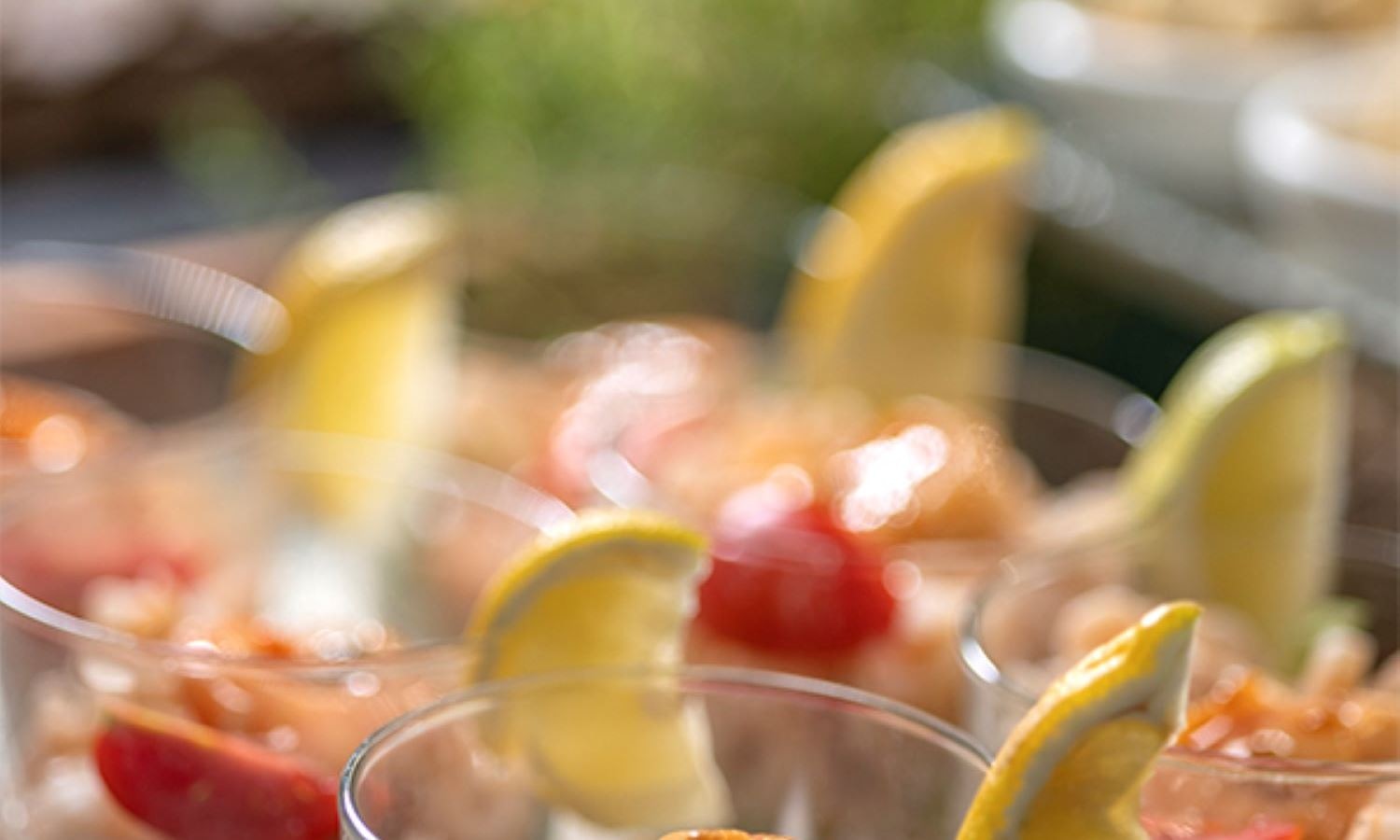 restaurants-sofra-main-restourant