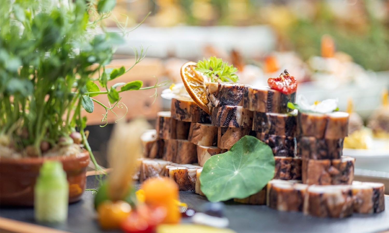 restaurants-sofra-main-restourant