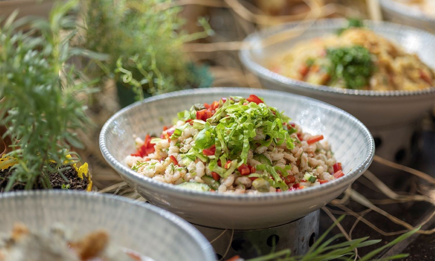 restaurants-sofra-main-restourant