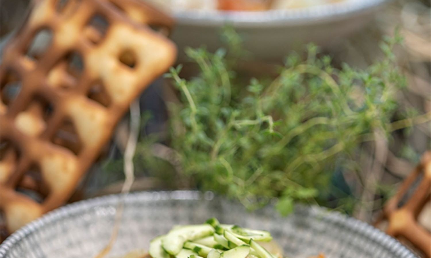 restaurants-sofra-main-restourant