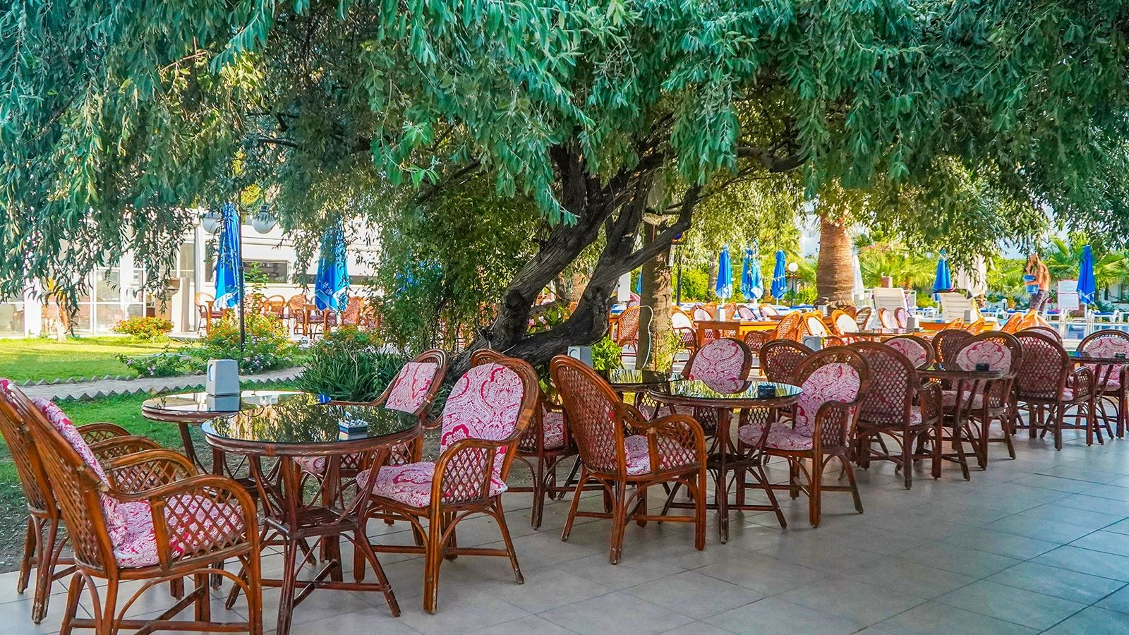 restaurants-nagi-beach