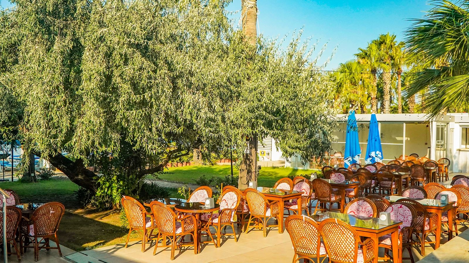 restaurants-nagi-beach