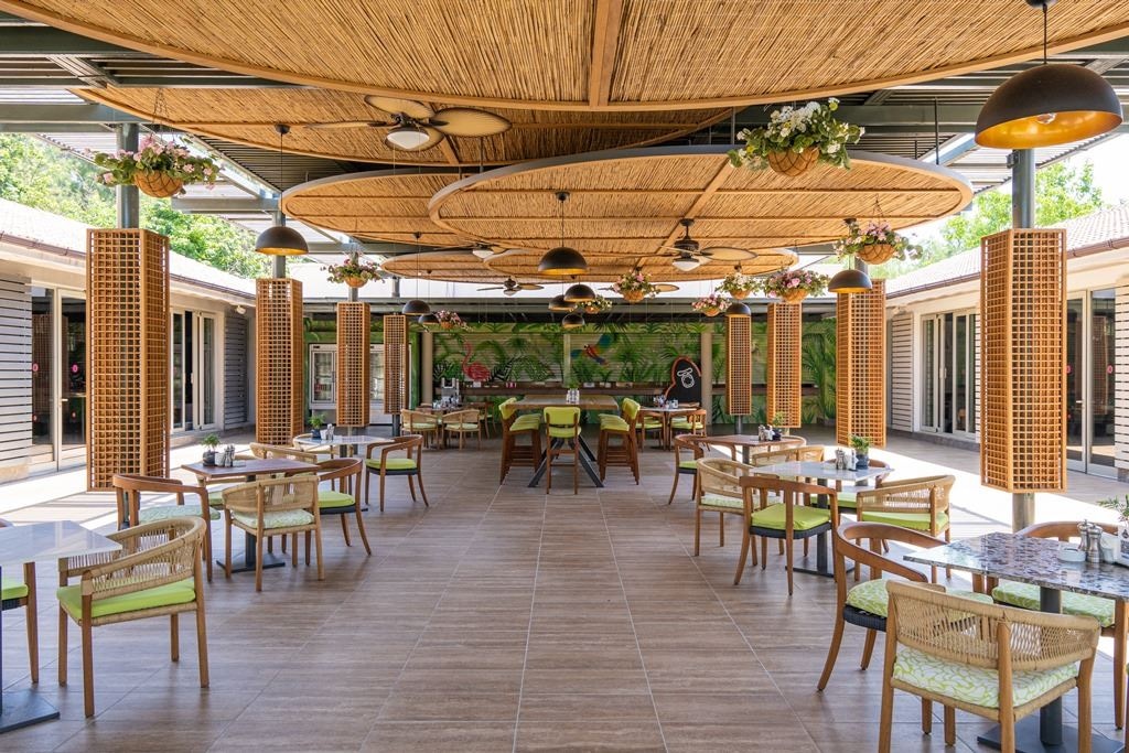 restaurants-hungry-gorilla-grap-n-go