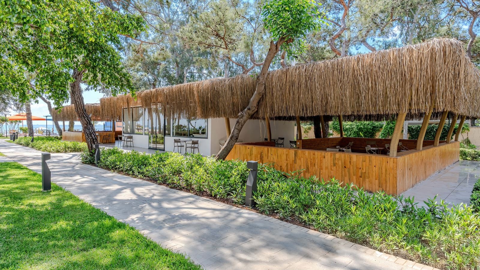 restaurants-food-coart