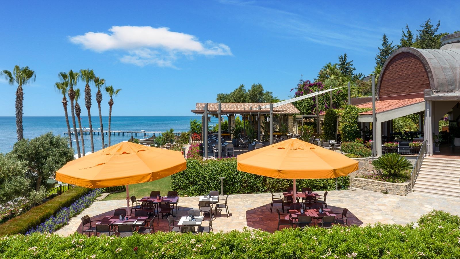 bars-bonsai-snack-bar