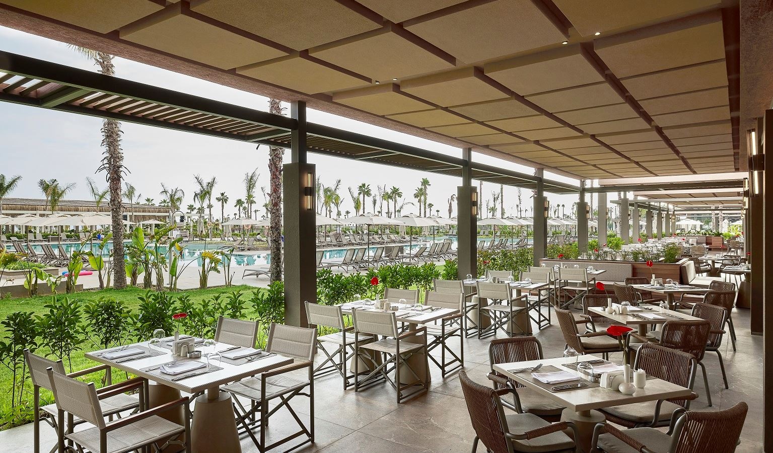 bars-savory-restaurant-bar