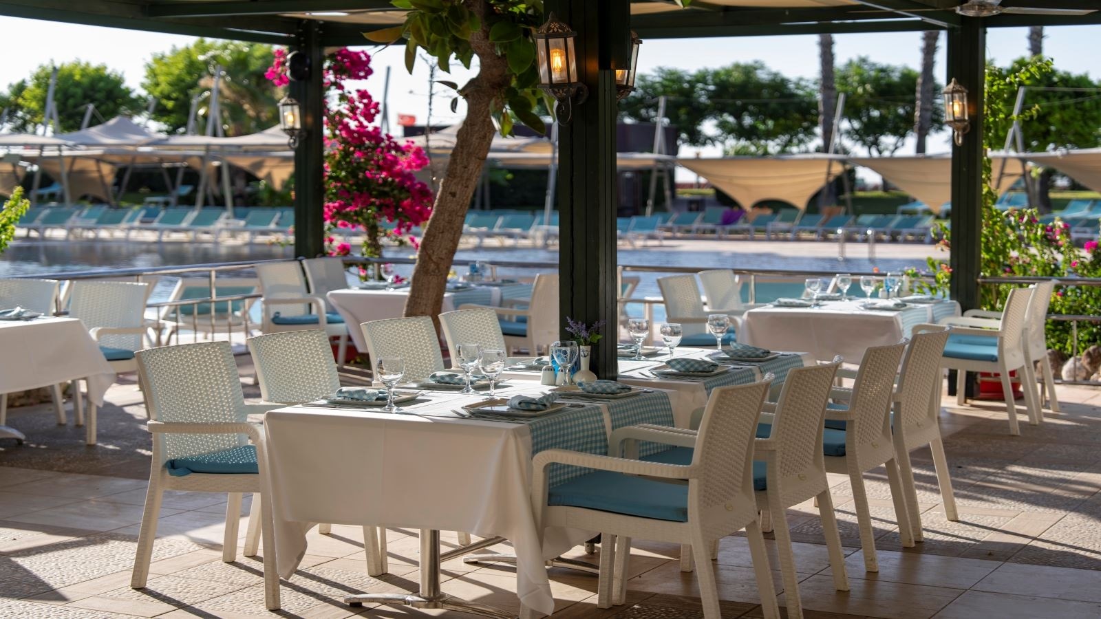 restaurants-sandal