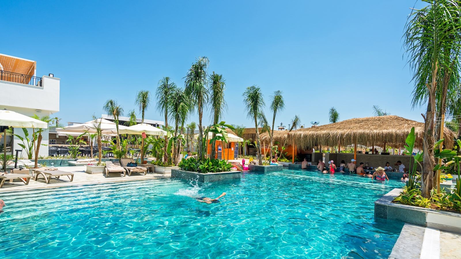 bars-marin-shallow-bar