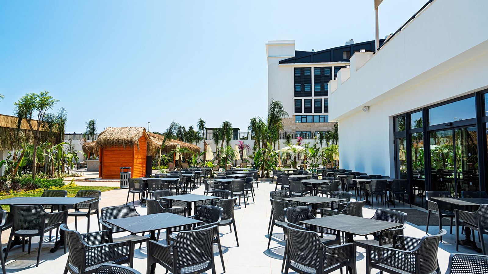 restaurants-sirius-restauran