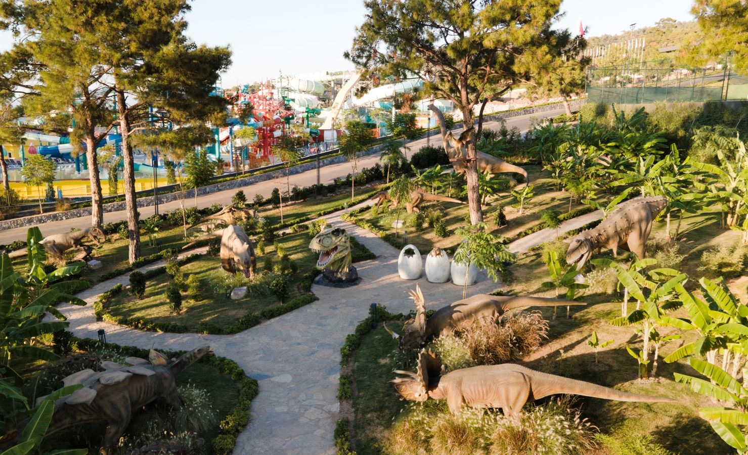 water-park-water-park