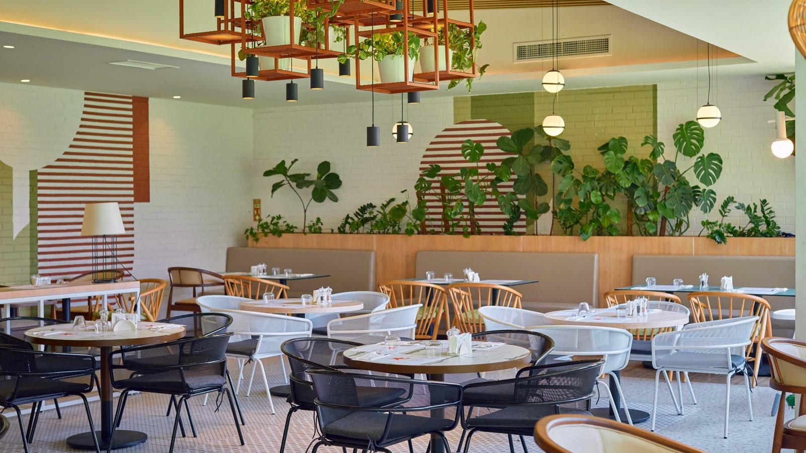 restaurants-bistro-tulip-restaurant