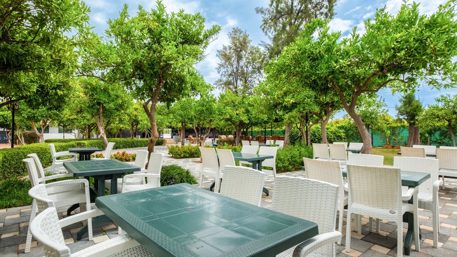 restaurants-snack-restaurant