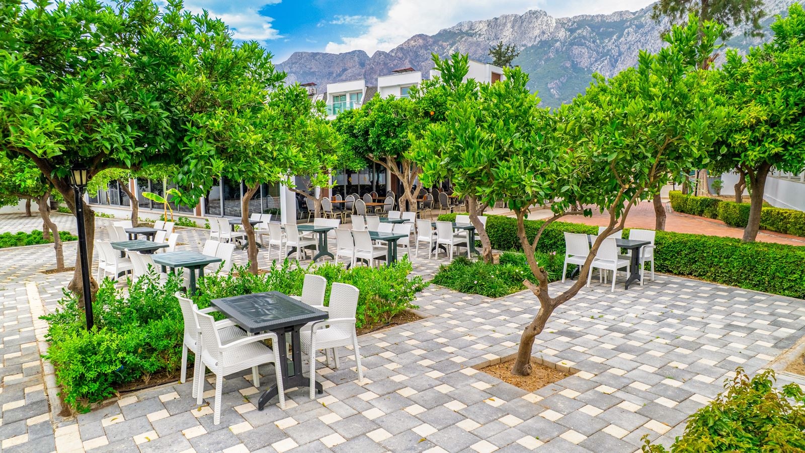 restaurants-snack-restaurant