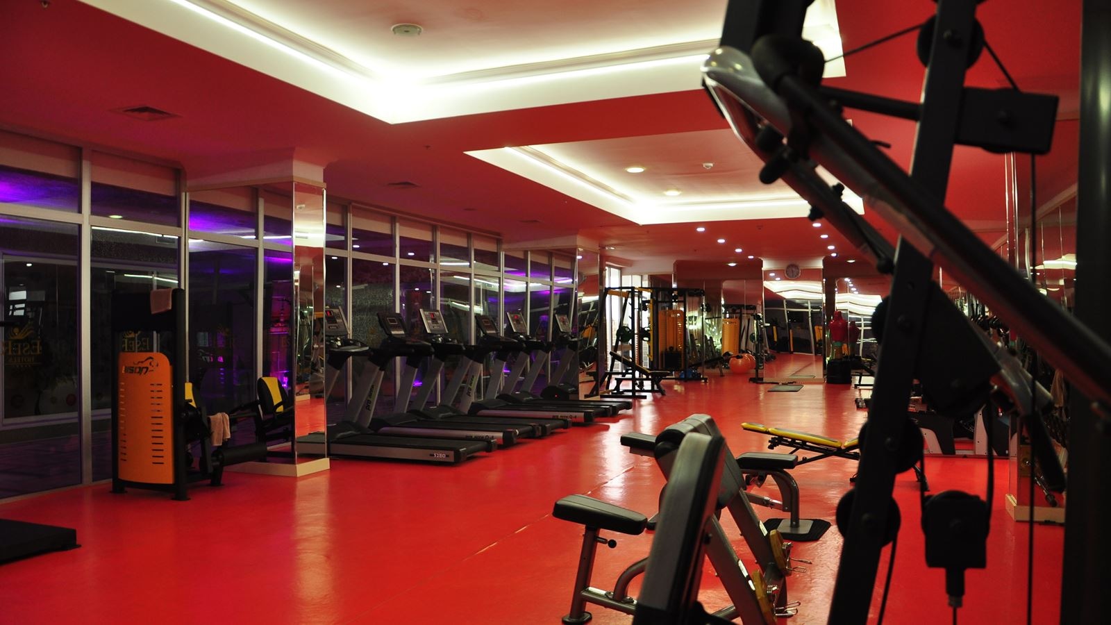 sport-sport