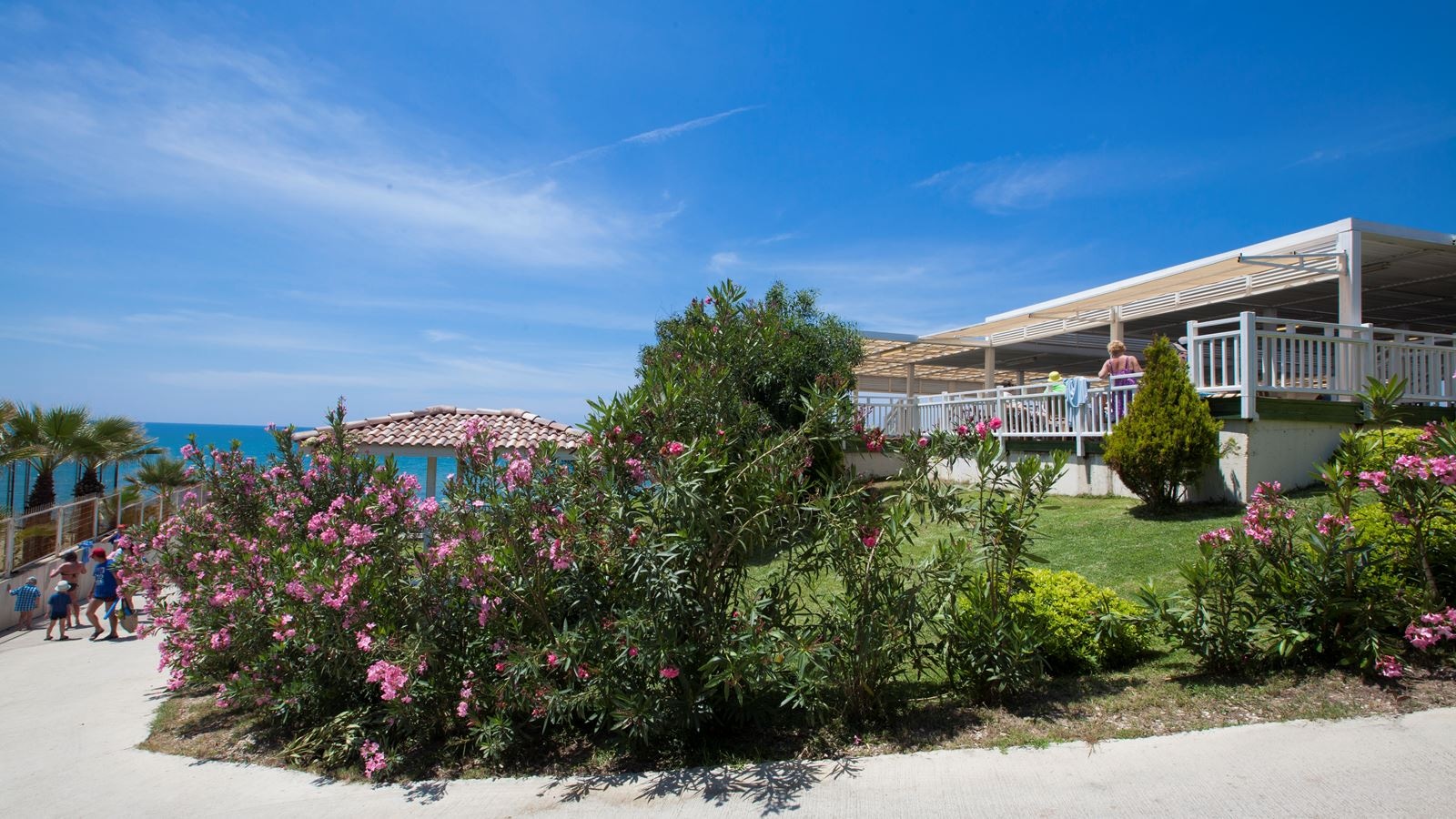 restaurants-beach-snack-restaurant