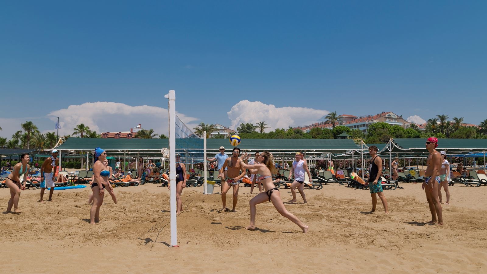 sport-sport