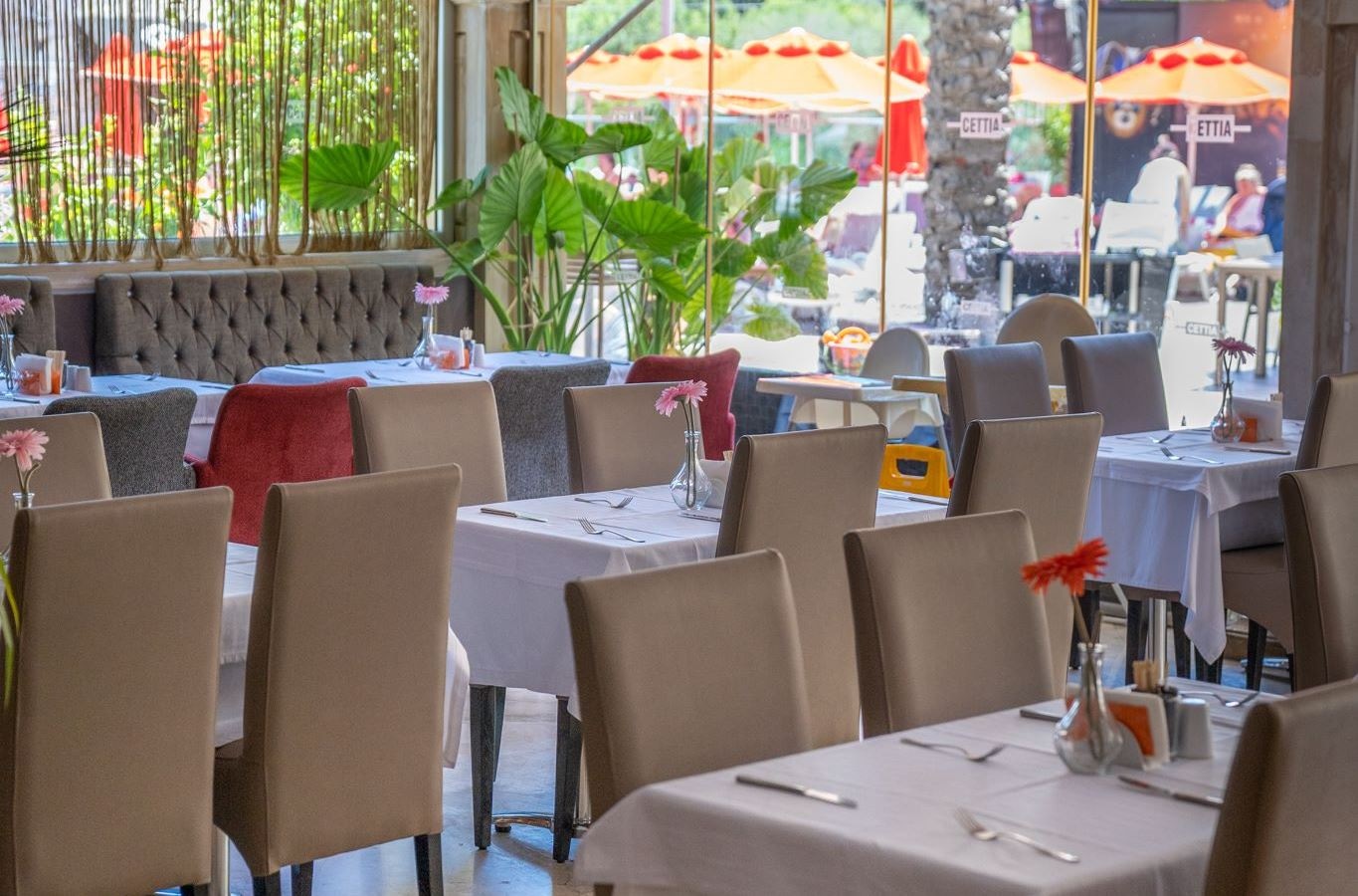 restaurants-le-select-restaurant