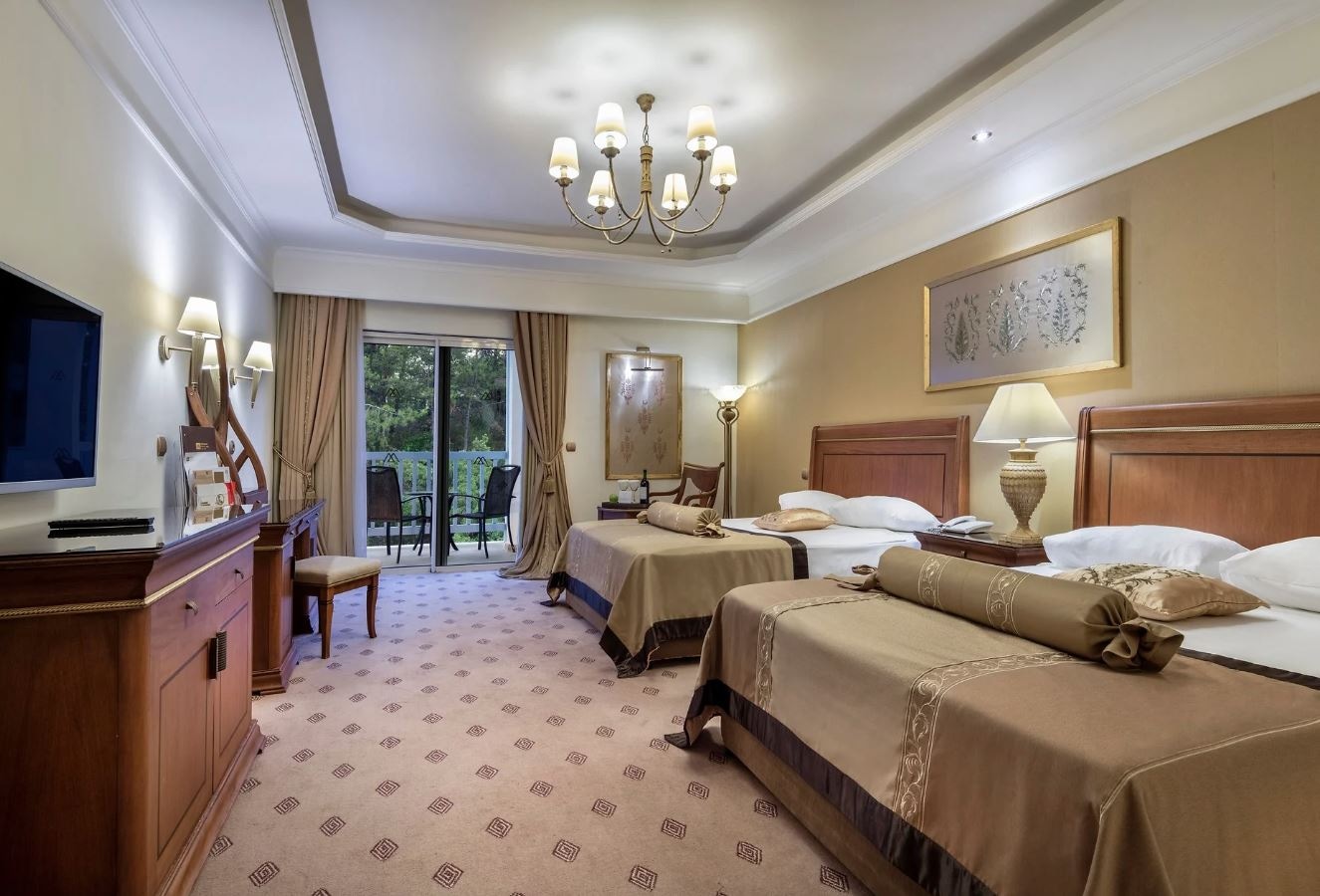 rooms-club-room-forest-view-backyard--roma-street