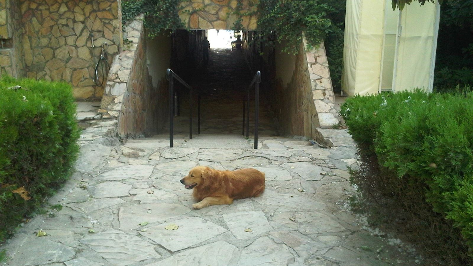 general-main-building