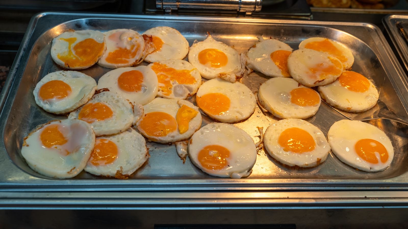 restaurants-main-restaurant