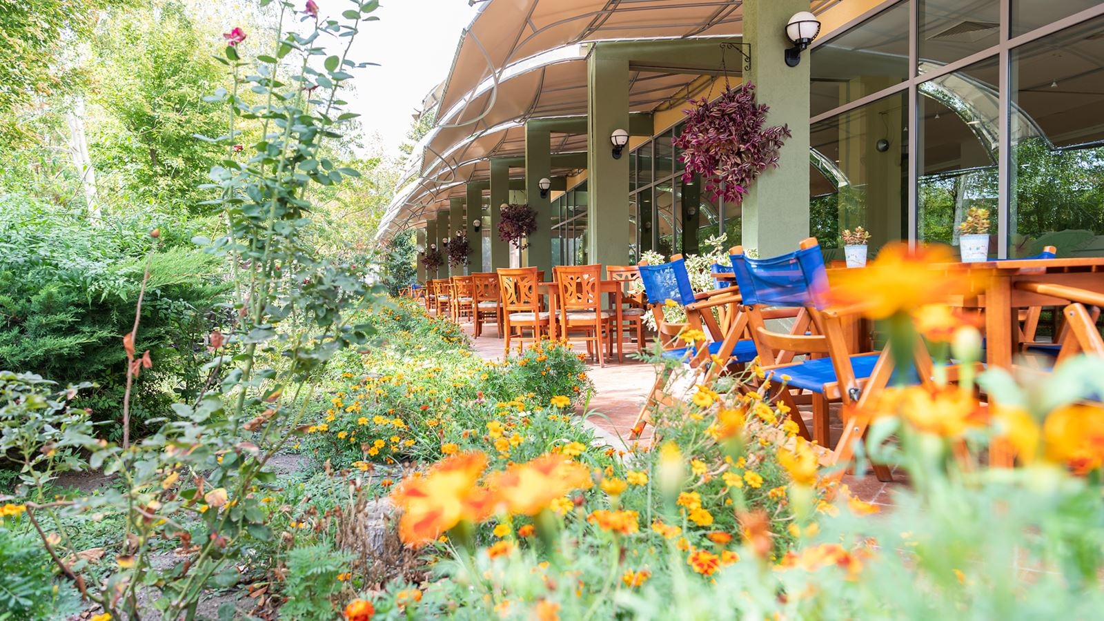 restaurants-restaurants