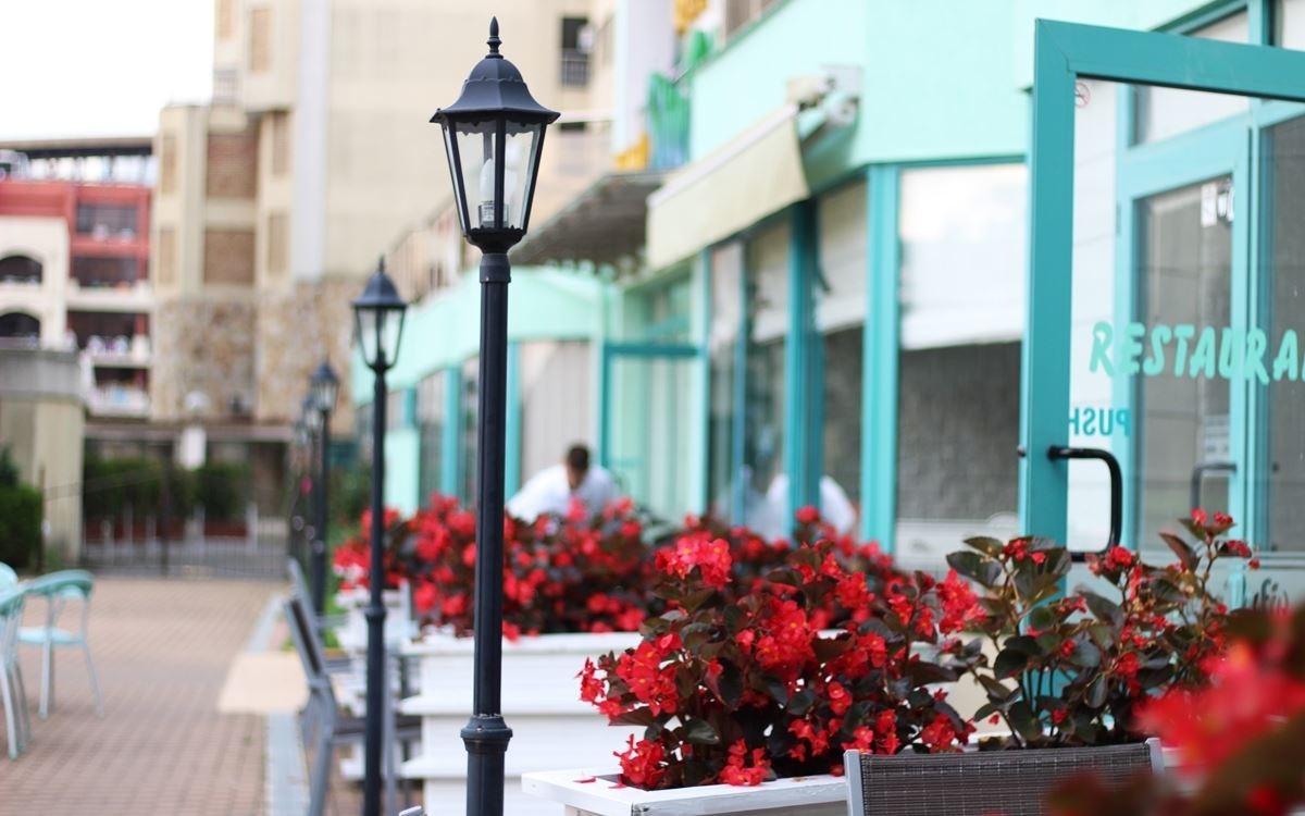 restaurants-restaurants