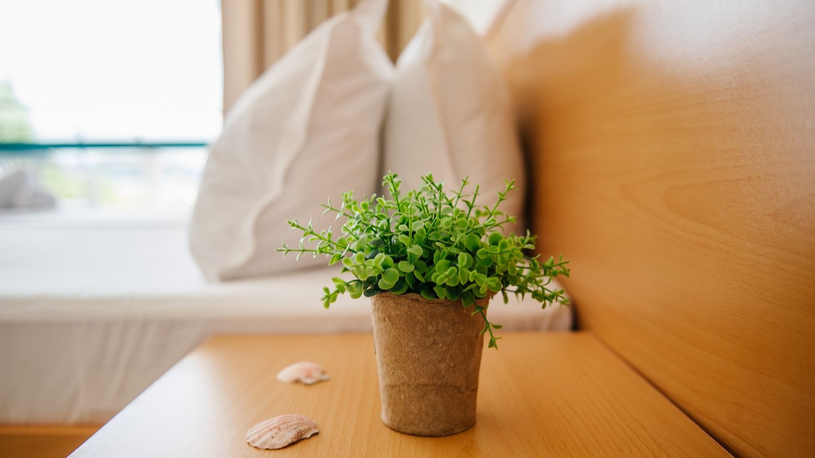 rooms-single-wchild-standard-room-seaview-balcony