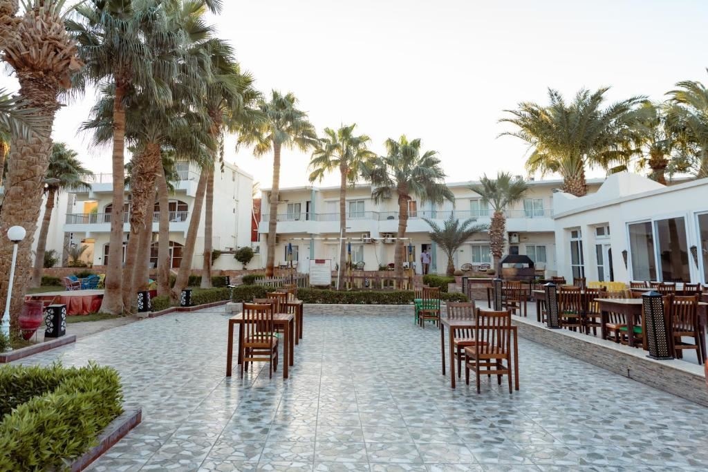 restaurants-olives-restaurant