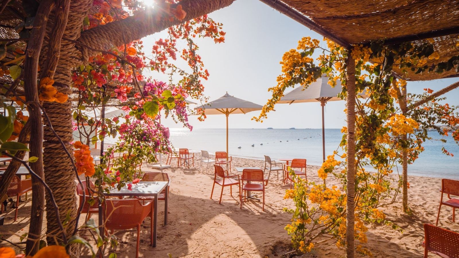 bars-sottovento-adults-only