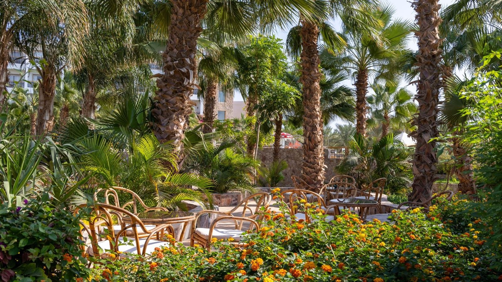 bars-jungle-pool-bar-adults-only