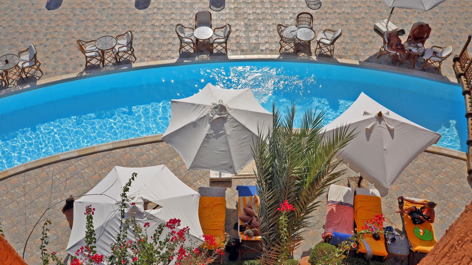 bars-gardenia-pool-bar