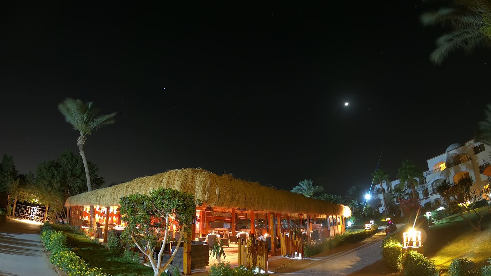 restaurants-royal-main-restaurant