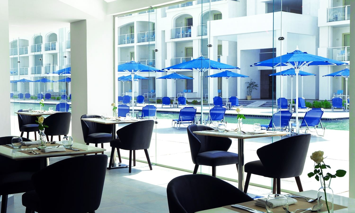 restaurants-alfredo-restaurant