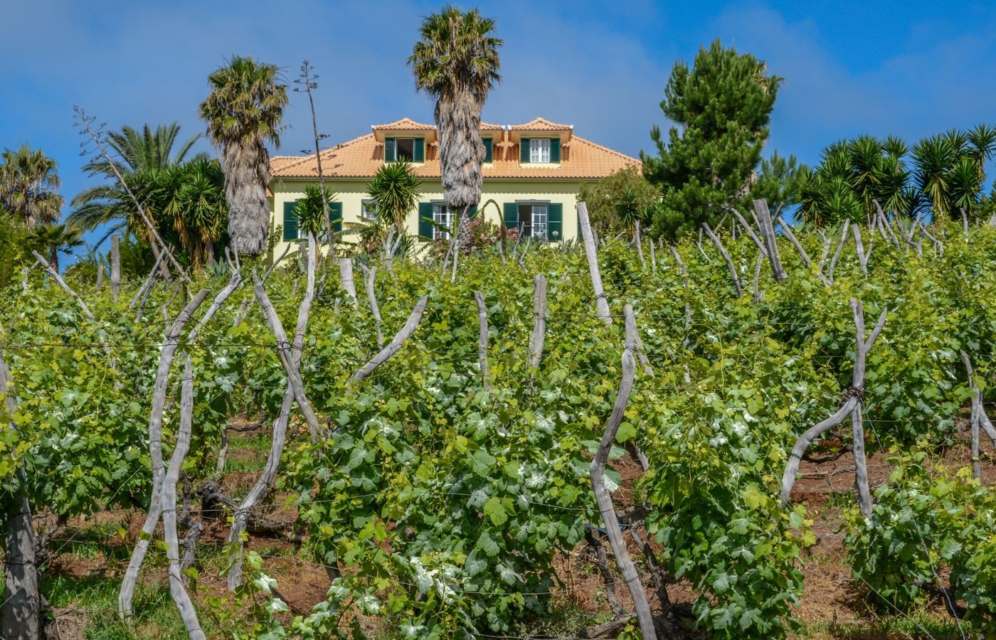 general-main-building