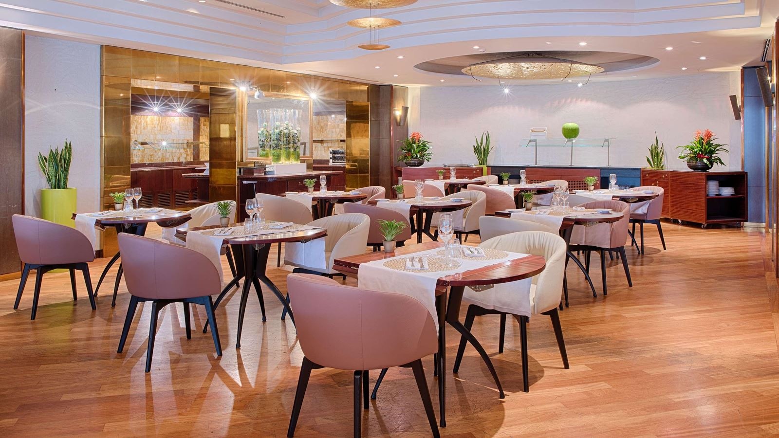 restaurants-restaurants