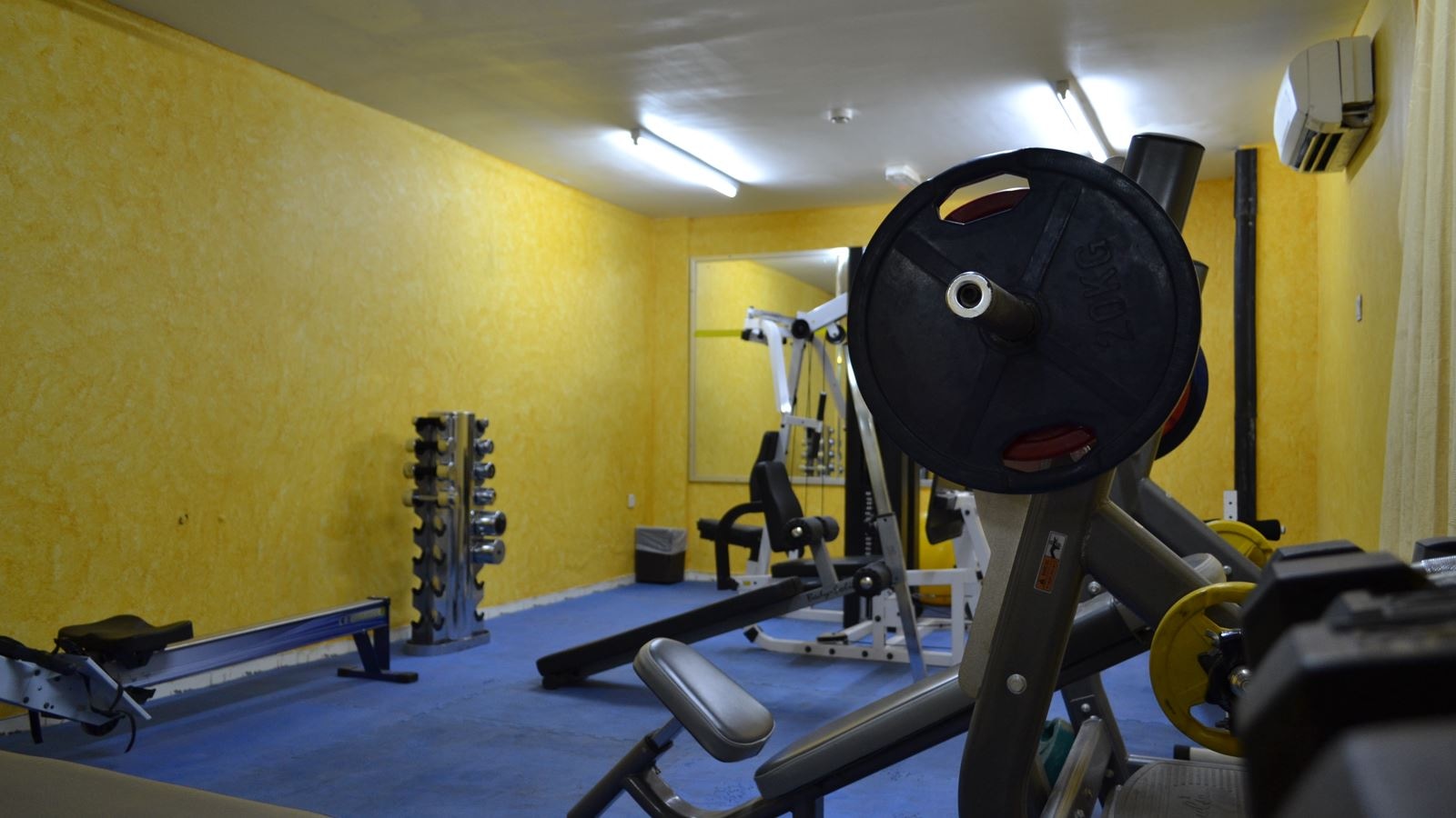 sport-sport