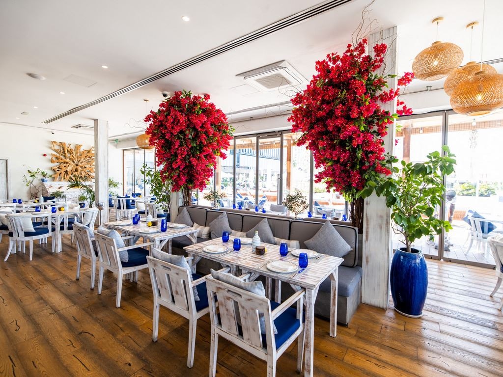 restaurants-ammos