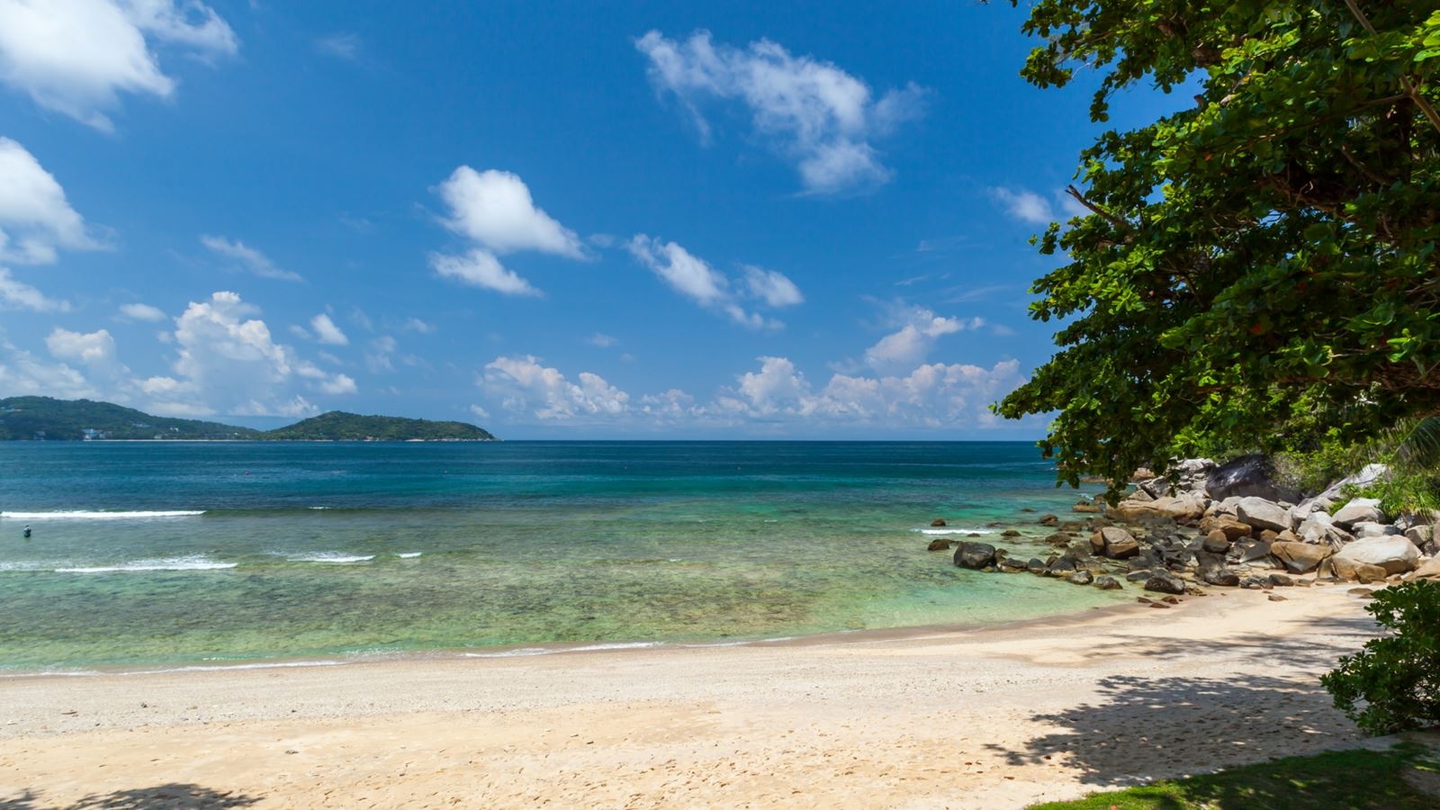 rooms-one-bedroom-beach-access-pool-villa