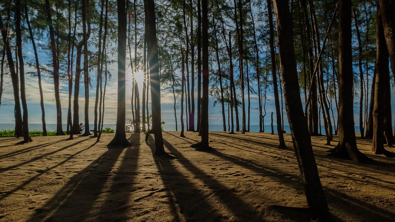 beach-beach