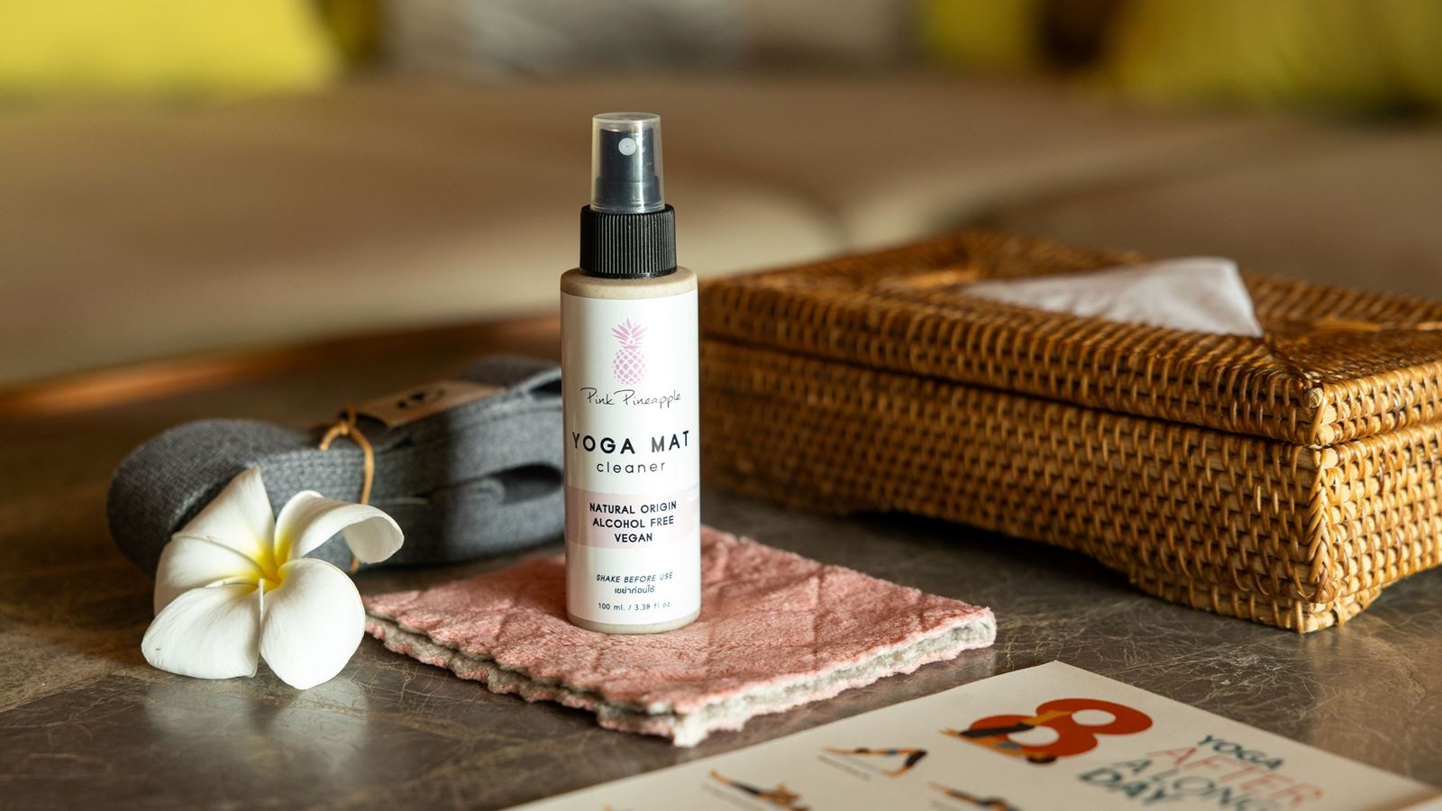 rooms-wellness-penthouse