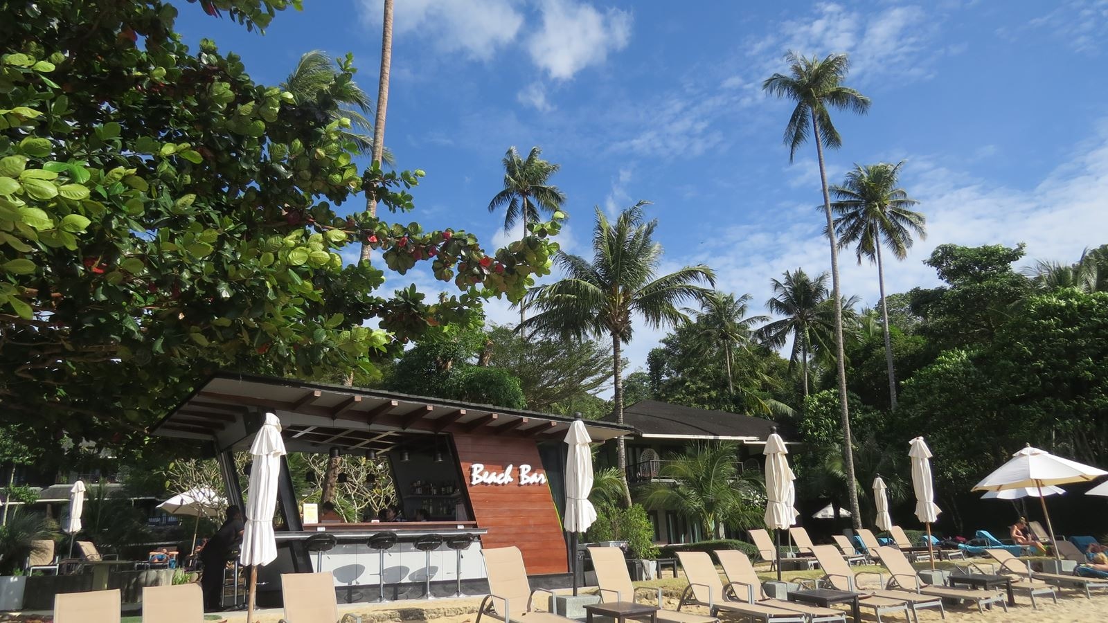 bars-reef-bar